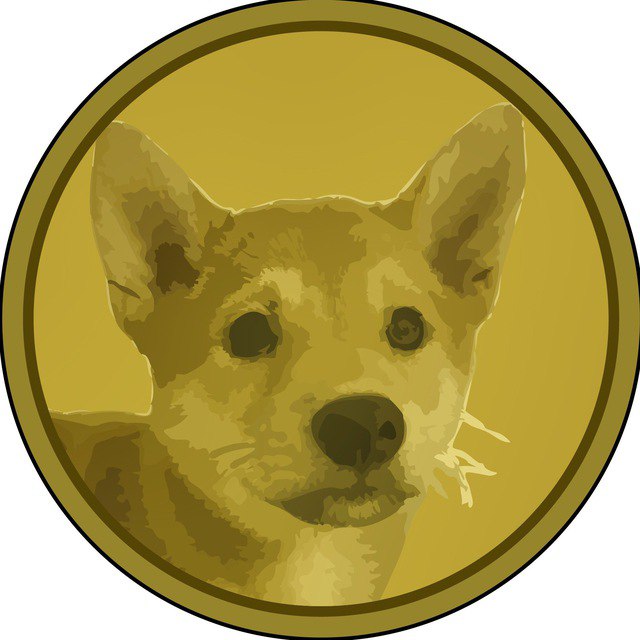 Teddy Coin Logo